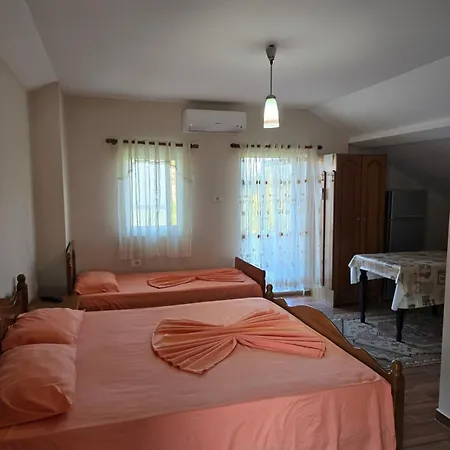 Gæstehus Blaceri Pogradec